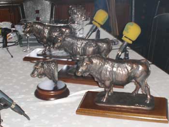 Trofeos  Paco Flores