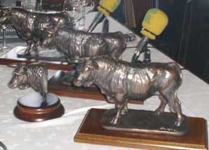 Premios otorgados temporada 2005