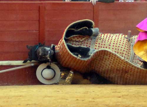 Jos� Olmo (derribo en Sanlucar)