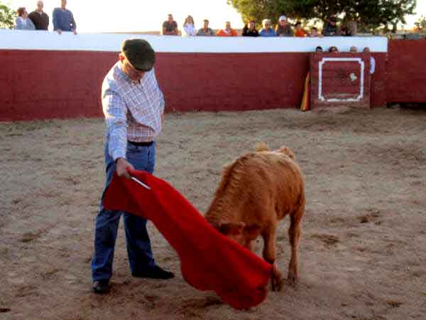 Rafael Sestelo