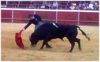 Sandra en un momento de su intervencion