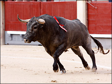 Campanero", lidiado en tercer lugar, fuertemente ovacionado en el arrastre