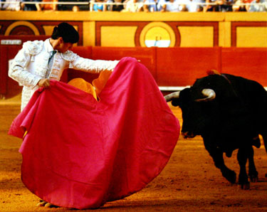 Fotografia premiada