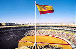 Plaza partida 1995