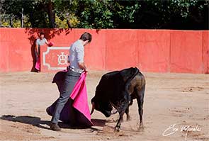 Alejandro Morilla torea un novillo en la ganadería Hnos.Lavi