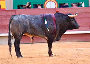 Indultos