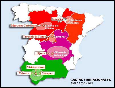 Castas fundacionales del toro bravo en la Peninsula Iberica Castas fundacionales del toro bravo en la Peninsula Iberica